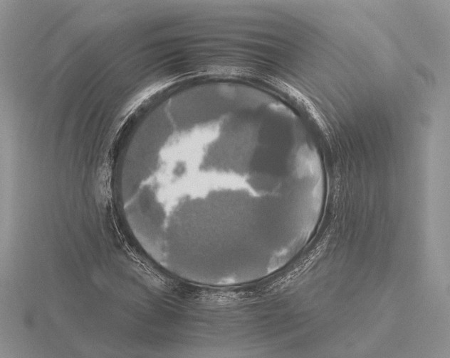 X0000115661019200912101047