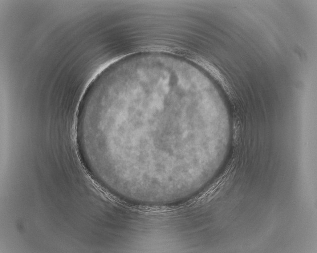 X0000115661020200912101047