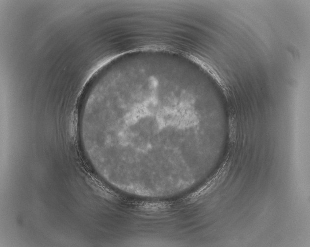 X0000115661021200912101047