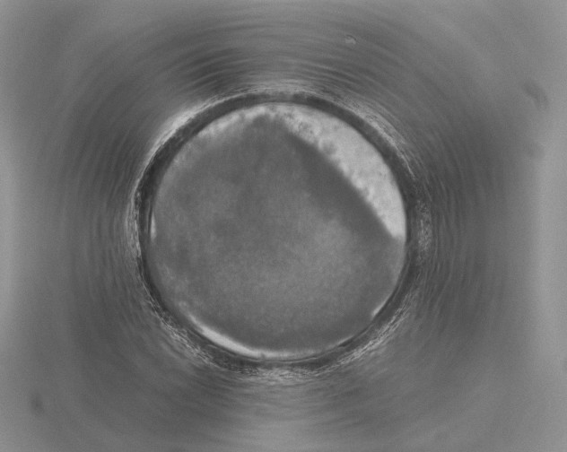 X0000115661022200912101047