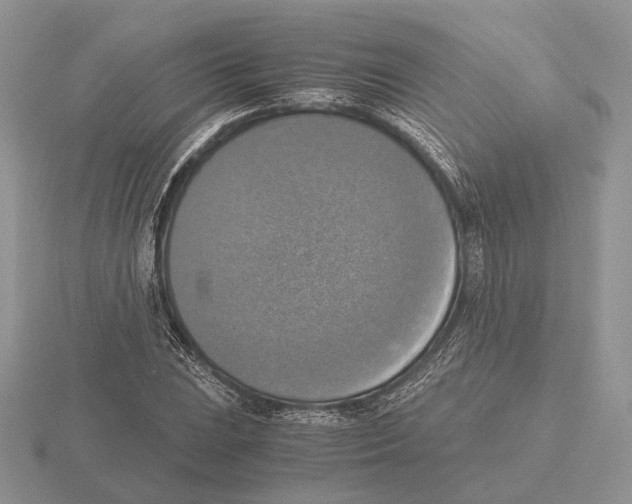 X0000115661023200912101047