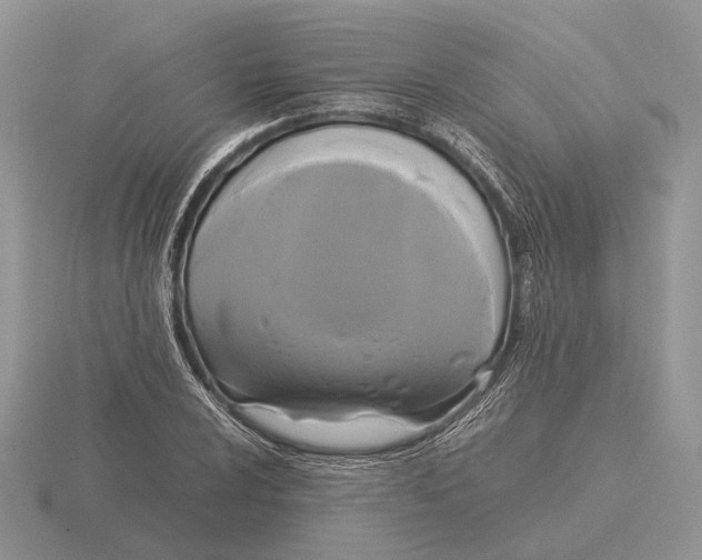 X0000115661024200912101047