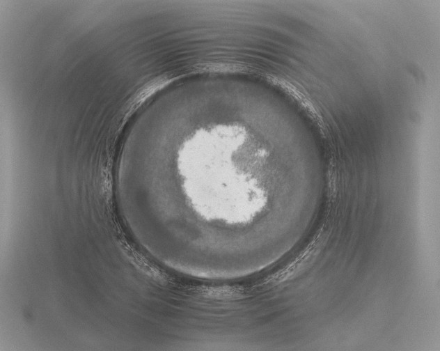 X0000115661025200912101047