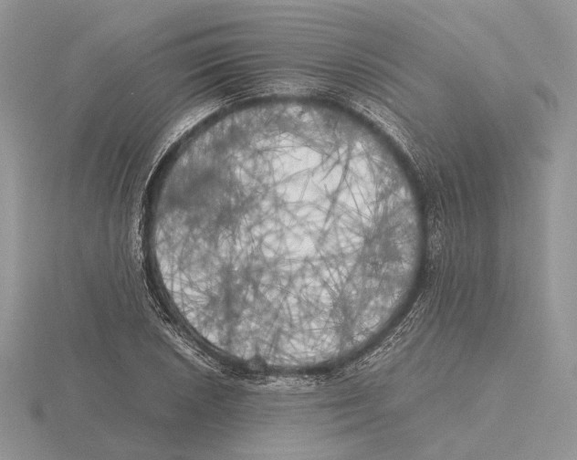 X0000115661026200912101047