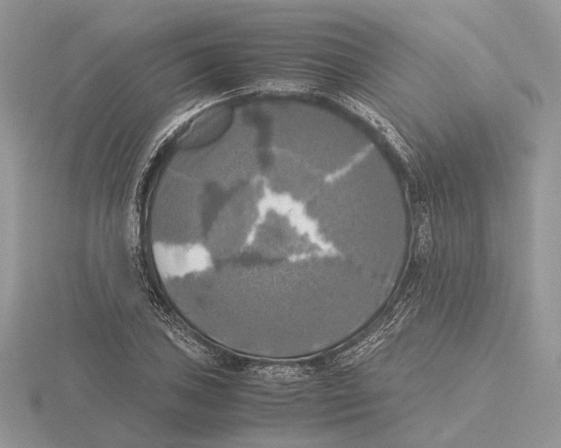 X0000115661027200912101047