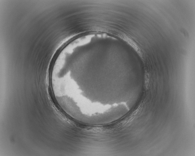 X0000115661028200912101047