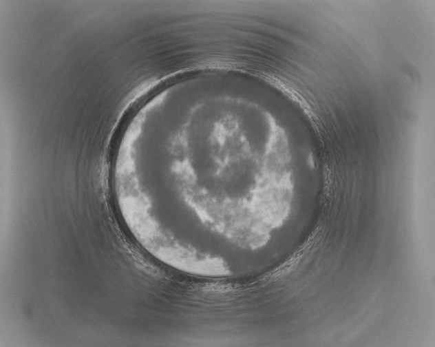 X0000115661029200912101047