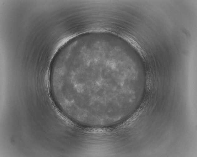 X0000115661030200912101047