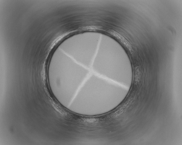 X0000115661031200912101047