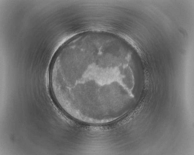 X0000115661032200912101047