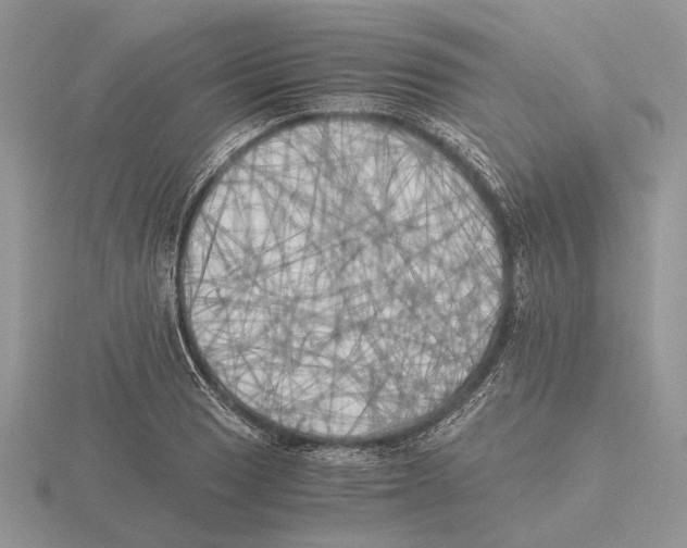 X0000115661033200912101047