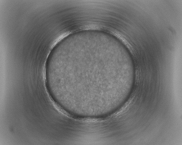 X0000115661034200912101047