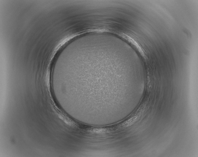 X0000115661035200912101047