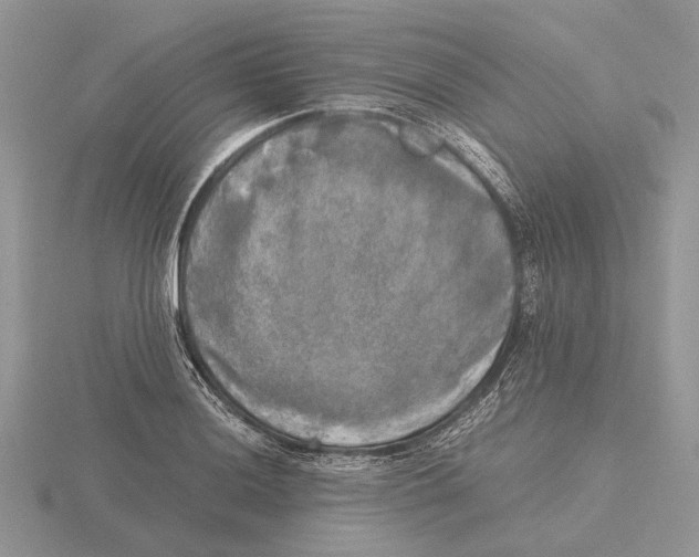 X0000115661036200912101047