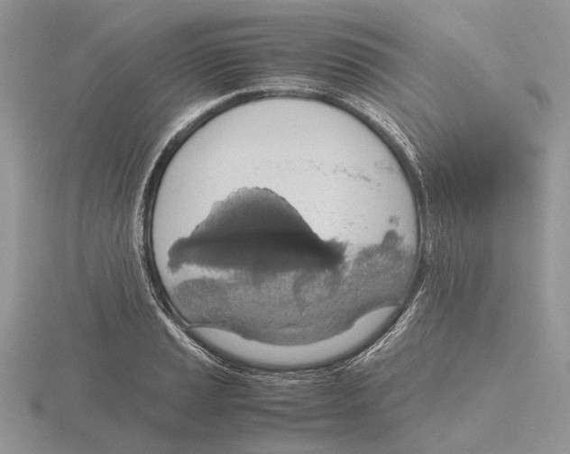 X0000115661037200912101047