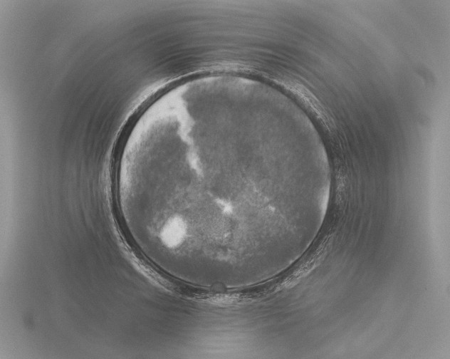 X0000115661038200912101047