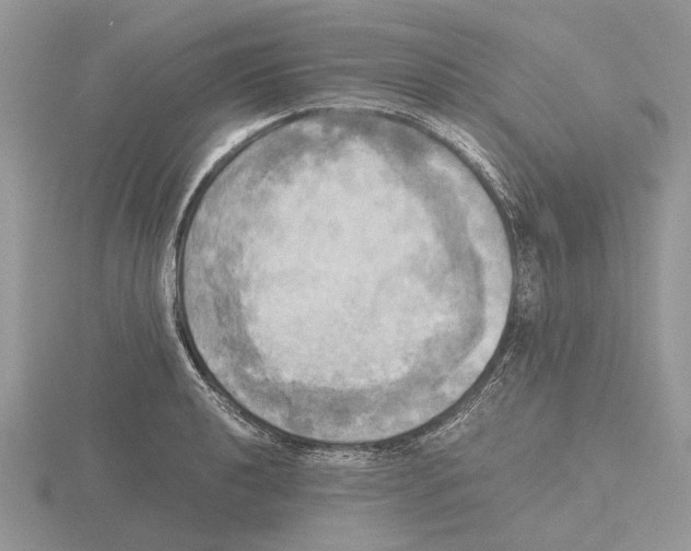 X0000115661040200912101047