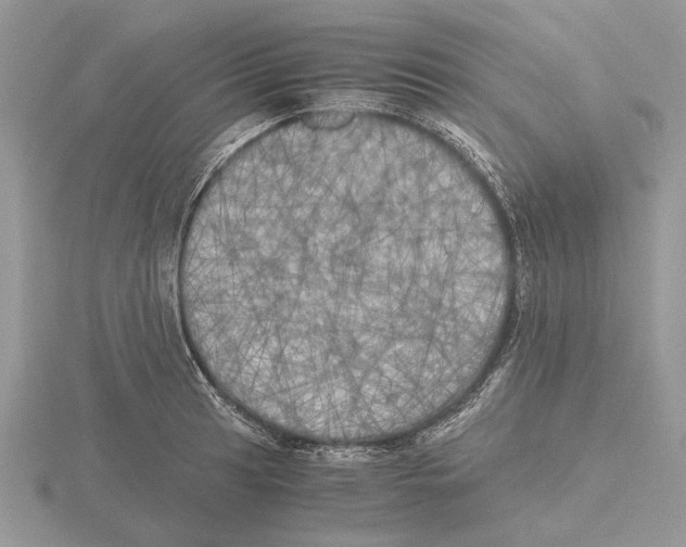 X0000115661041200912101047