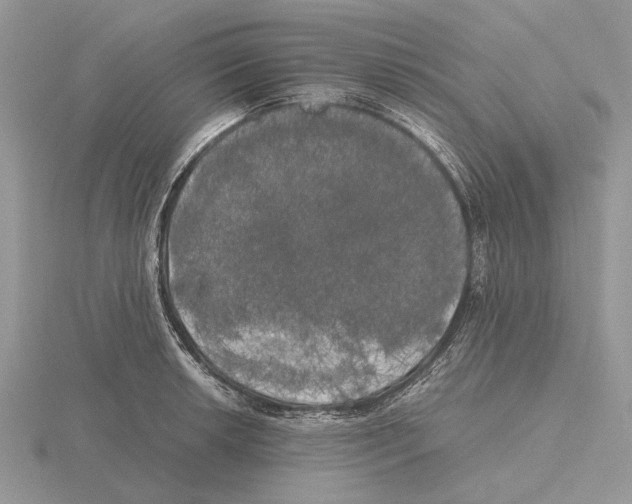 X0000115661042200912101047