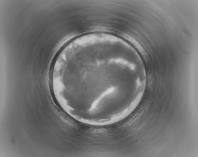 X0000115661043200912101047