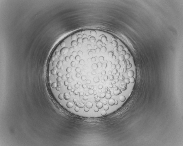 X0000115661044200912101047