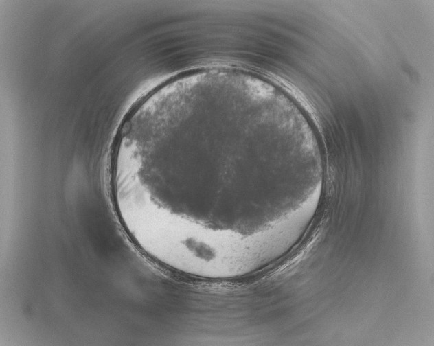 X0000115661045200912101047