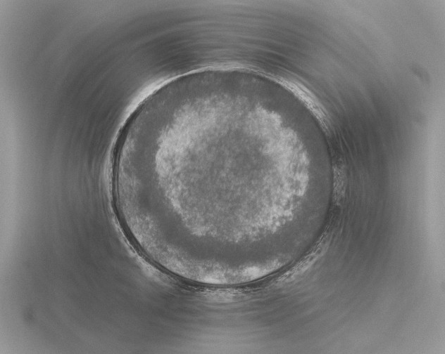 X0000115661046200912101047