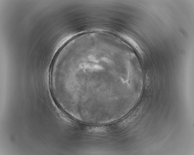 X0000115661047200912101047