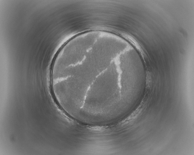 X0000115661048200912101047