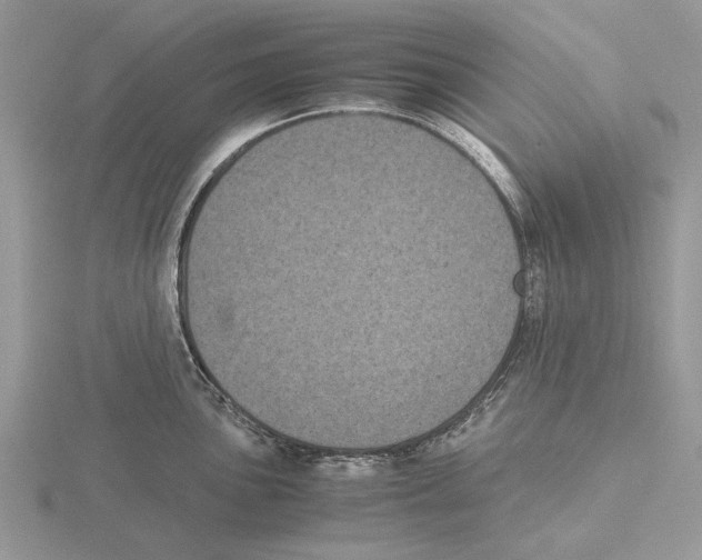 X0000115661051200912101047