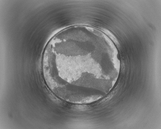 X0000115661052200912101047