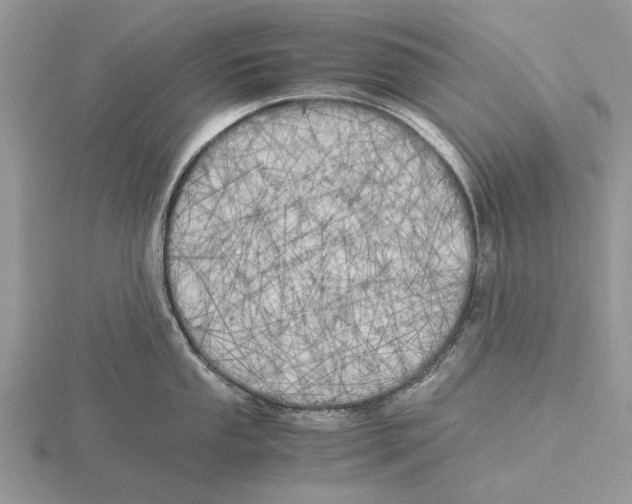 X0000115661053200912101047