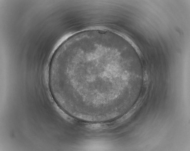 X0000115661054200912101047