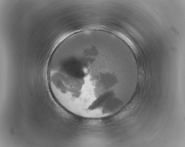 X0000115661055200912101047