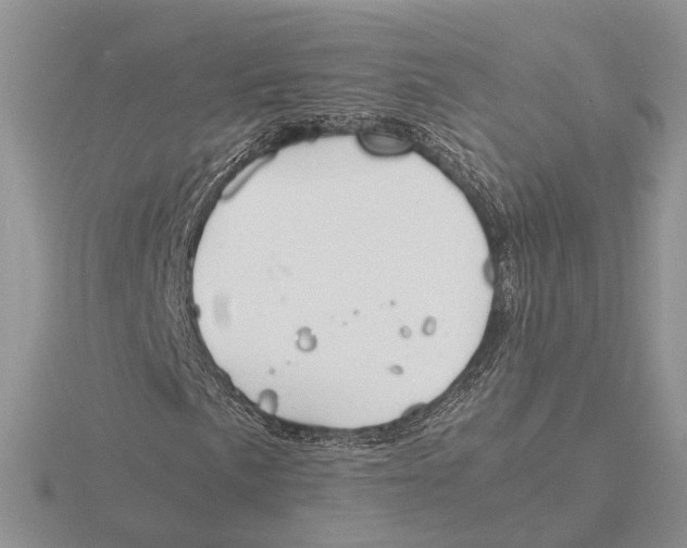 X0000115661057200912101047