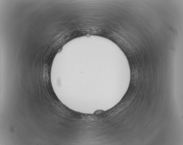 X0000115661058200912101047