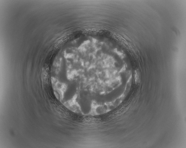 X0000115661059200912101047