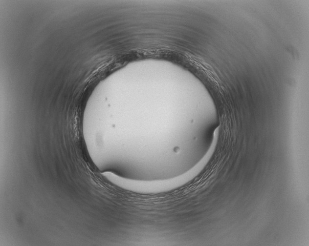 X0000115661060200912101047