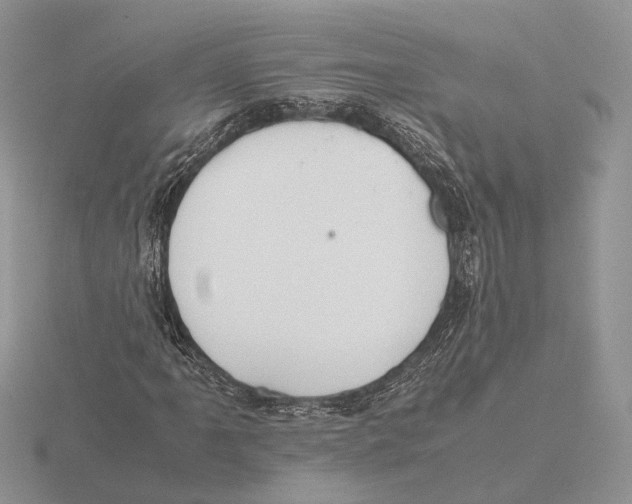 X0000115661061200912101047