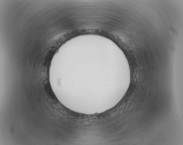 X0000115661062200912101047