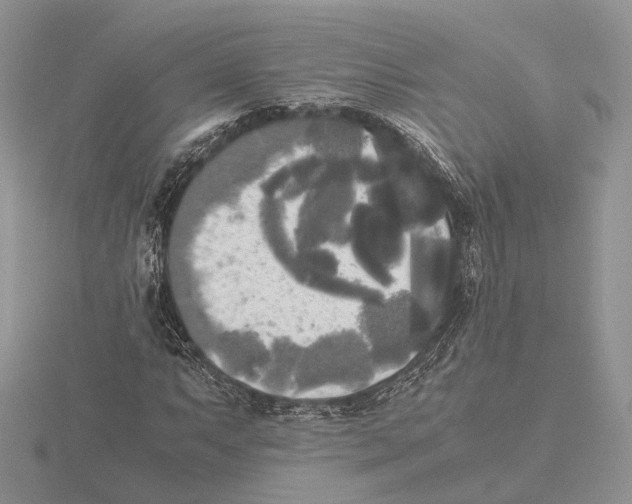 X0000115661063200912101047