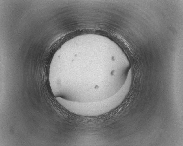 X0000115661064200912101047