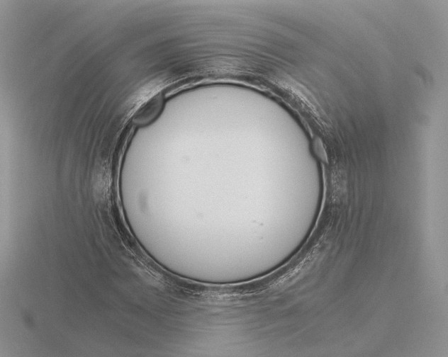 X0000115661065200912101047