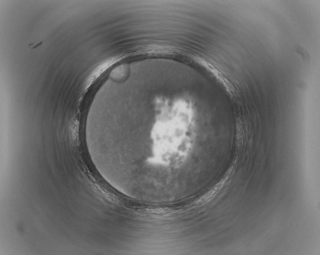 X0000115661066200912101047