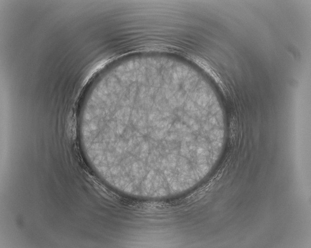 X0000115661067200912101047