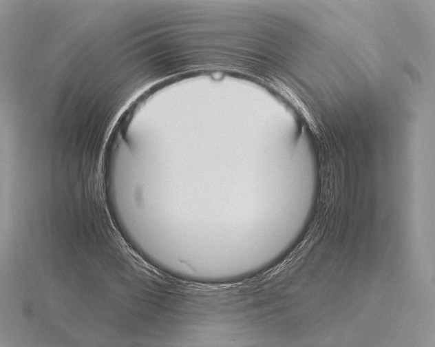 X0000115661068200912101047