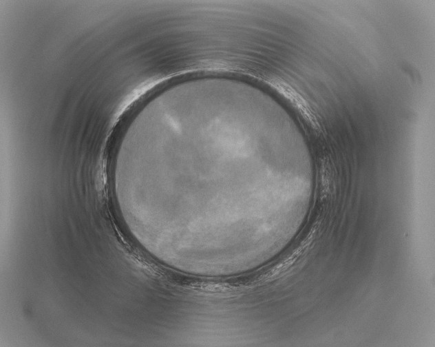 X0000115661070200912101047