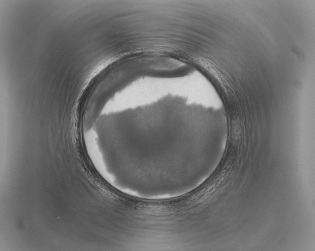 X0000115661071200912101047