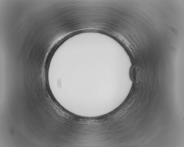 X0000115661072200912101047