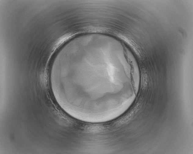 X0000115661074200912101047